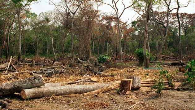 ACCA y ACA presentan síntesis sobre los patrones de la deforestación en la Amazonía