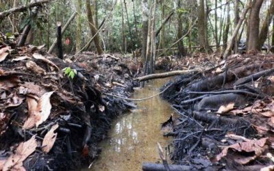Derrame de petróleo: declaran en emergencia a 6 comunidades más