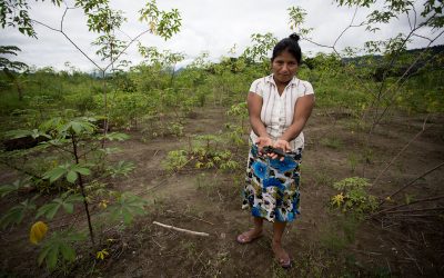 HEALTH CONCERNS, FOOD INSECURITY LINGER MONTHS AFTER PERUVIAN OIL SPILLS