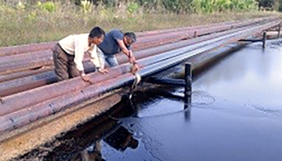 Derrame de petróleo en el Lote 192 afecta quebradas y llega a aguas del río Tigre, en Loreto