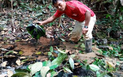 Comunidad Antioquía del alto río Corrientes denuncia derrames de petróleo y malos trabajos de remediación