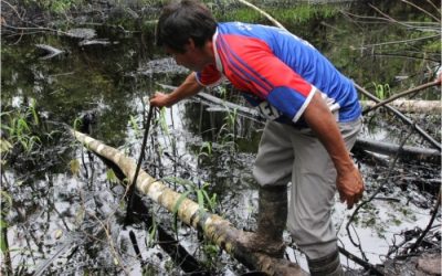 Víctimas del petróleo en Perú: La contaminación que afectó a los indígenas de Cuninico