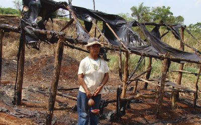 Brasil: Desalojo forzoso inminente y manifiestamente injusto de población indígena