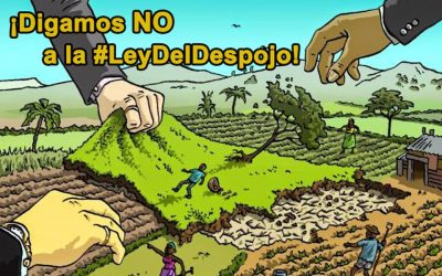 13 razones para derogar el D.L. 1333, «Ley del Despojo»