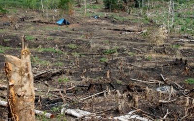 Estado debe saldar deuda histórica en titulación de tierras de comunidades nativas y agricultores en Ucayali