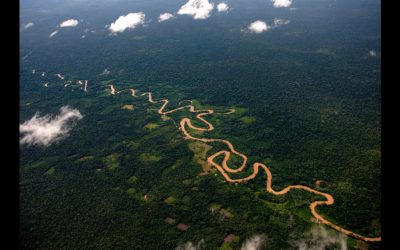 Erradicación de la minería ilegal para preservar la Amazonía peruana