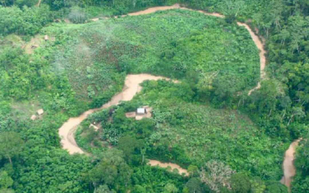 Indígenas de Brasil rechazan proyecto de vía Iñapari-Puerto Esperanza