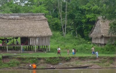 Perú: investigadores defienden otorgar títulos de tierra a indígenas para proteger selva tropical