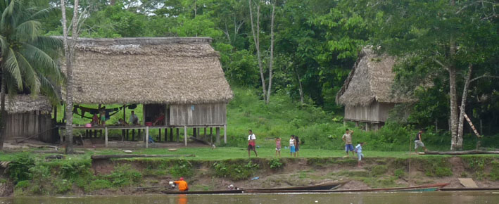 Perú: investigadores defienden otorgar títulos de tierra a indígenas para proteger selva tropical