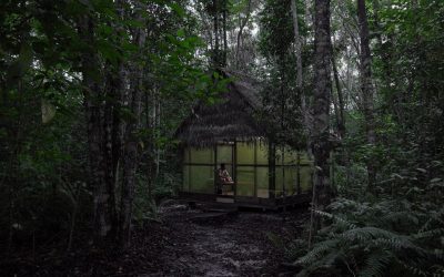 Icaros, una visión espiritual del ayahuasca