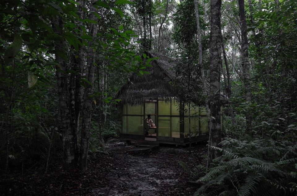 Icaros, una visión espiritual del ayahuasca