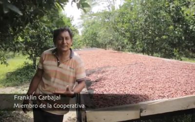 La otra ruta: Cacao para resistir