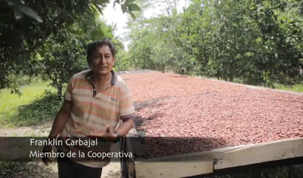 La otra ruta: Cacao para resistir