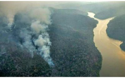 Incendio forestal afecta reserva comunal asháninka y amenaza parque nacional Otishi