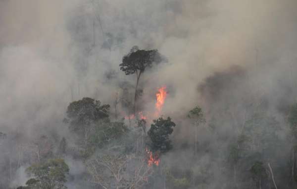 Brasil: incendios amazónicos amenazan con aniquilar a indígenas aislados