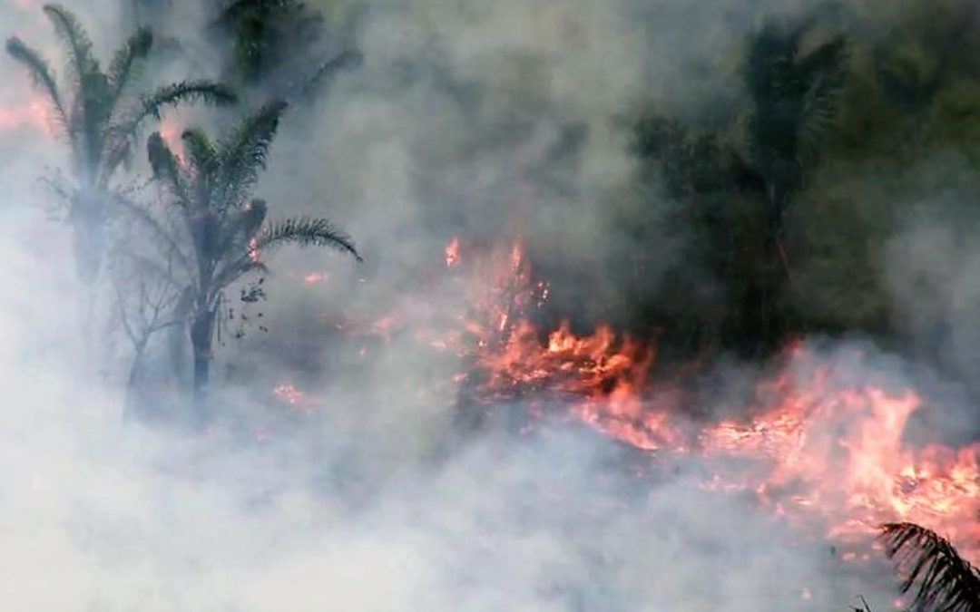 Autoridades y comunidades realizan esfuerzos por extinguir incendio en Satipo