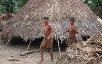 Perú es referente en protección de los pueblos indígenas en aislamiento