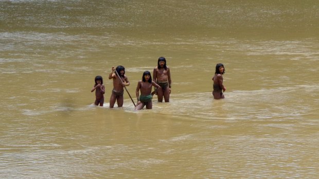 Modificación en leyes de exploración vulnera protección de pueblos indígenas en situación de aislamiento