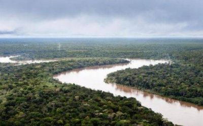 Pleno emite ley que permite construcción de vías en Ucayali