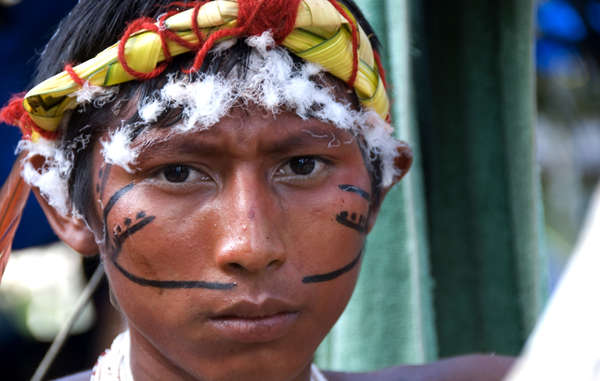 Survival pide a la ONU que ponga fin a la “crisis” de envenenamiento por mercurio en América del Sur
