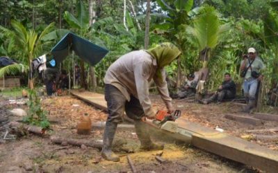 Ucayali: desalojan a madereros ilegales instalados en reserva