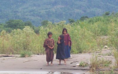 Comunidad Nativa Samaniato impide despojo de su territorio ancestral en juzgado de Corte Superior de Lima