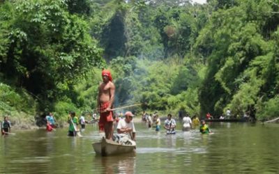 ONU licita gestión de cambio climático de Amazonía en Perú