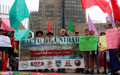 Organizaciones indígenas demandan al Estado respetar su derecho a la tierra y al territorio