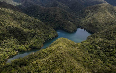 Perú fue designado por la ONU como sede regional del Día Mundial del Medio Ambiente