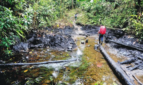 Colombia: Ponencia pide suspender proyecto petrolero en Putumayo
