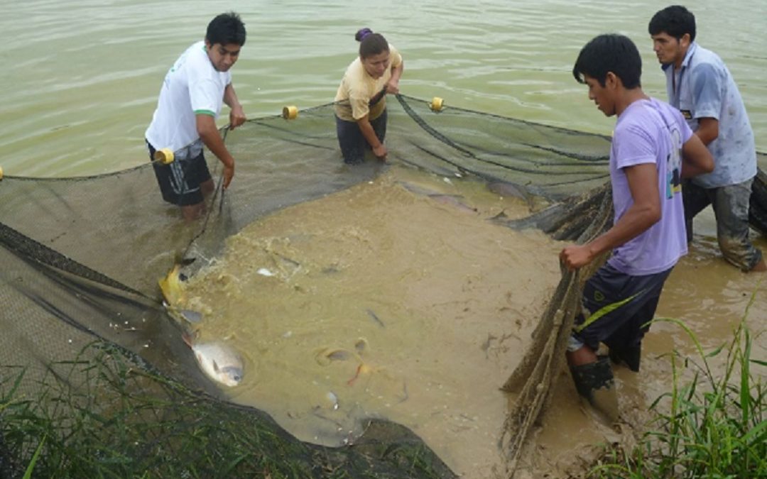 Presentan proyecto de piscigranja en zona afectada por derrame de crudo