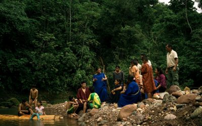 Conoce el bosque que conserva la biodiversidad y los valores culturales indígenas