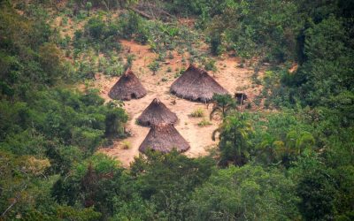 Pueblos indígenas en aislamiento: las áreas de la Amazonía que piden ser protegidas ante amenazas