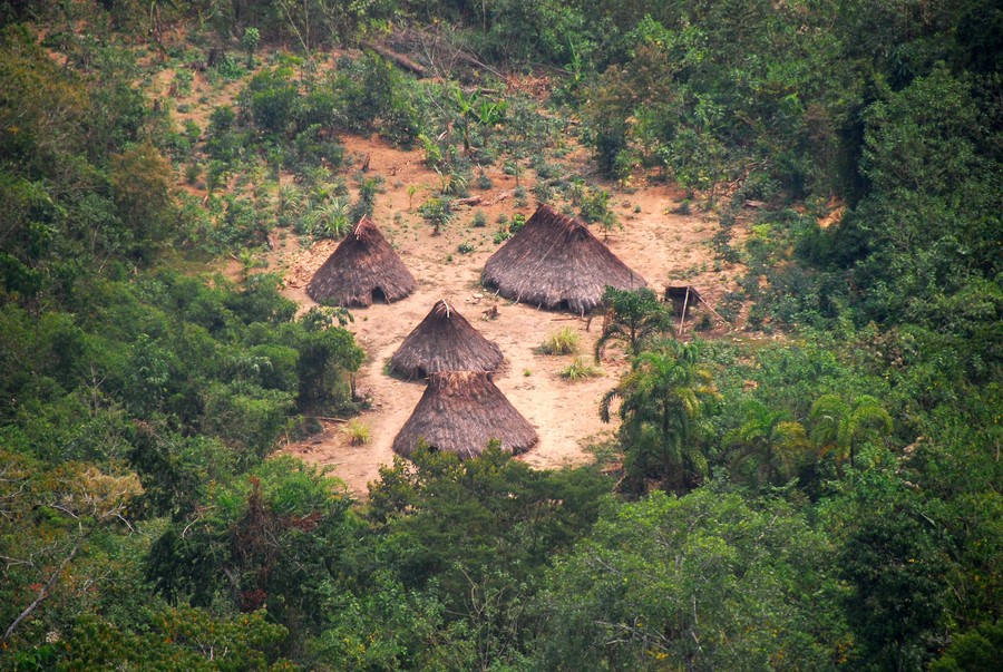 Pueblos indígenas en aislamiento: las áreas de la Amazonía que piden ser protegidas ante amenazas