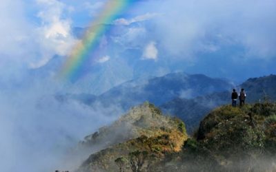 Declaran de interés público creación de la Reserva de Biósfera Selva Amazónica de Junín