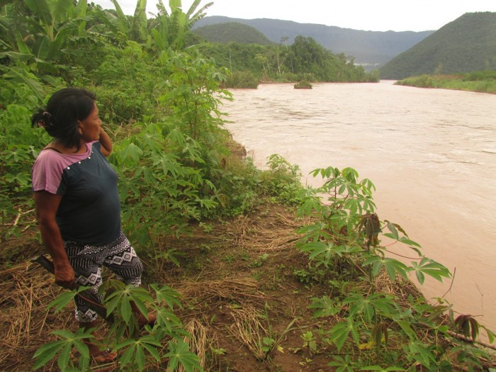 Selva Central: Presentan observatorio sobre conflictos socioambientales y cambio climático