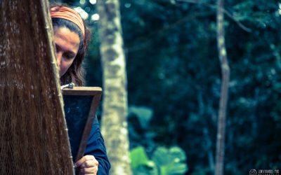 Ser mujer en la lucha por conservar los bosques