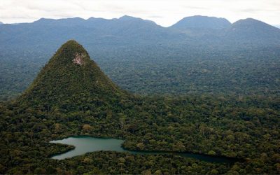 Sierra del Divisor: cinco razones por las que la creación del Parque Nacional es una buena noticia