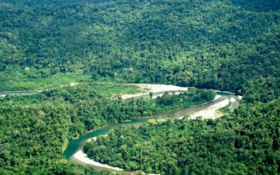 Ministerio de Cultura concluye primera etapa para creación de la futura Reserva Indígena Sierra del Divisor Occidental