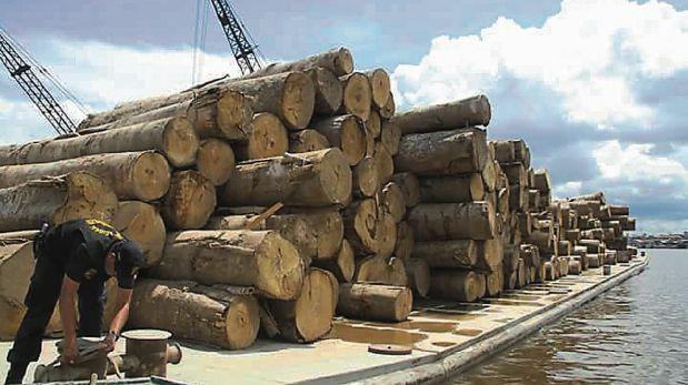 Ucayali: continúa lucha contra tráfico de madera