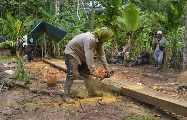 Ucayali: desalojan madereros ilegales en la Reserva Territorial Isconahua