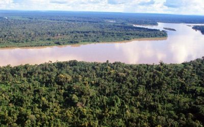 ¿Por qué Perú alega que construir carreteras en la Amazonía no vulnera la legislación ambiental?