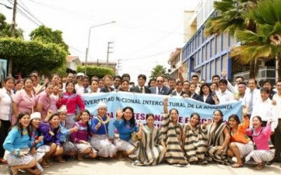 Piden reestructurar comisión organizadora de Universidad de la Amazonía de Ucayali