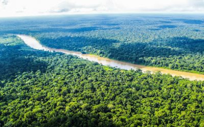 Resurge Amazonía continúa: loretanos en busca de una nueva Amazonía más intercultural, ecológica, inclusiva, sanitaria y participativa