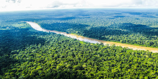 Resurge Amazonía continúa: loretanos en busca de una nueva Amazonía más intercultural, ecológica, inclusiva, sanitaria y participativa