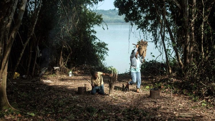 Documento sobre la Amazonía: “Nuevos caminos para la Iglesia y para una ecología integral”