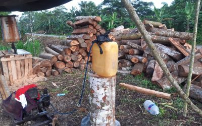 La Nación Wampís establece medidas para frenar la tala ilegal y exige restablecer clases escolares presenciales