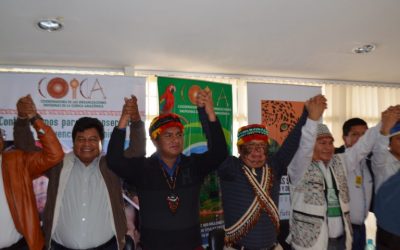 COICA declara en emergencia climática a la Amazonía: “Exigimos acciones urgentes”