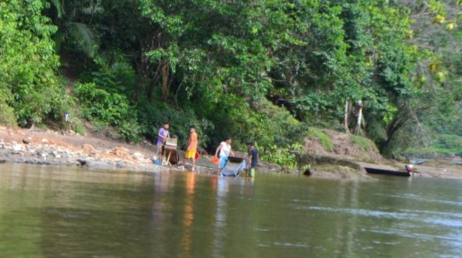 Río Cenepa (Amazonas): Aumentan amenazas de la minería ilegal contra líderes awajún