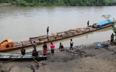 Comisión de Pueblos del Congreso solicita a Sagasti un compromiso firme y acciones concretas para salvar vidas en la Amazonía